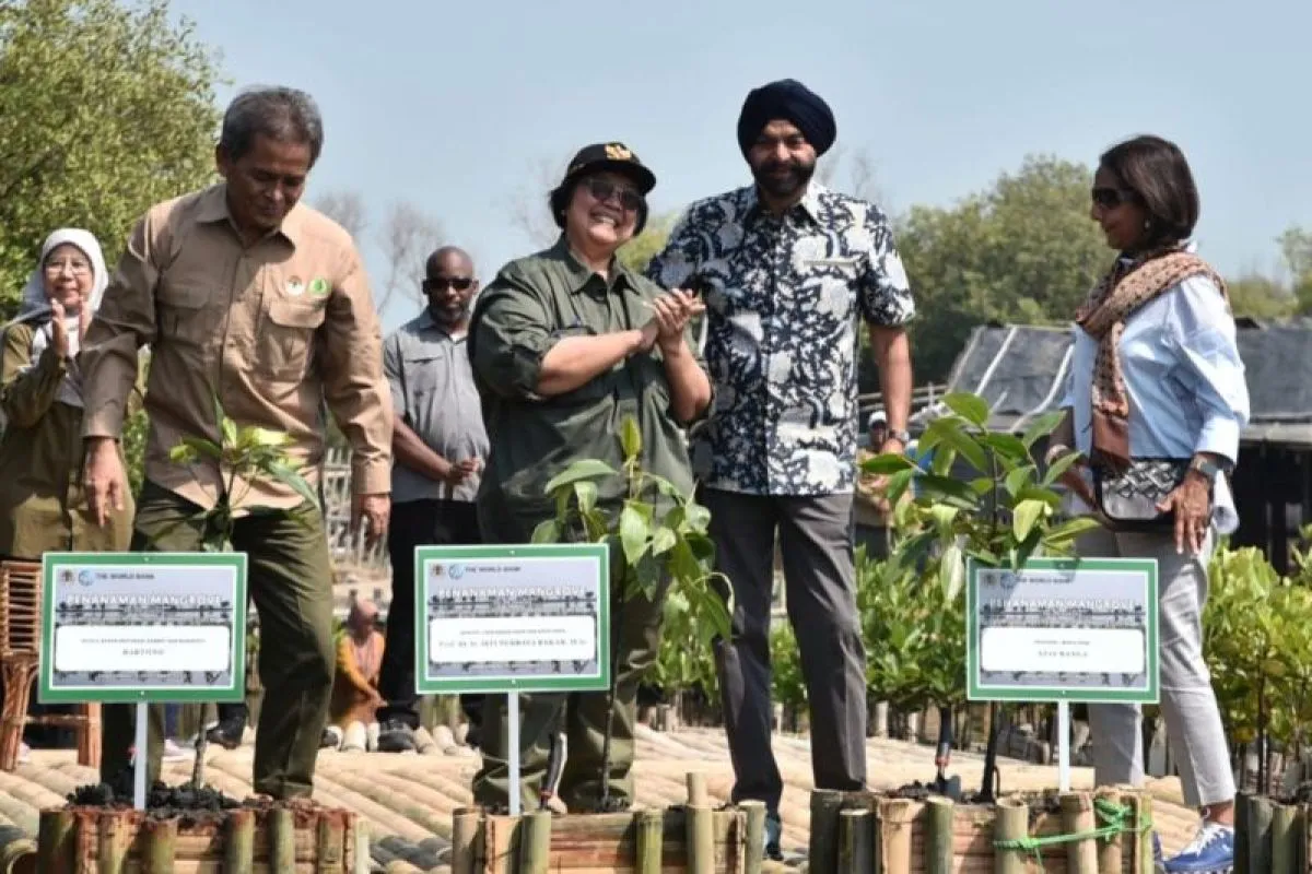 Presiden Bank Dunia Kunjungi Proyek Rehabilitasi Mangrove di Banten, Apresiasi Dampak Ekologis dan Sosialnya
